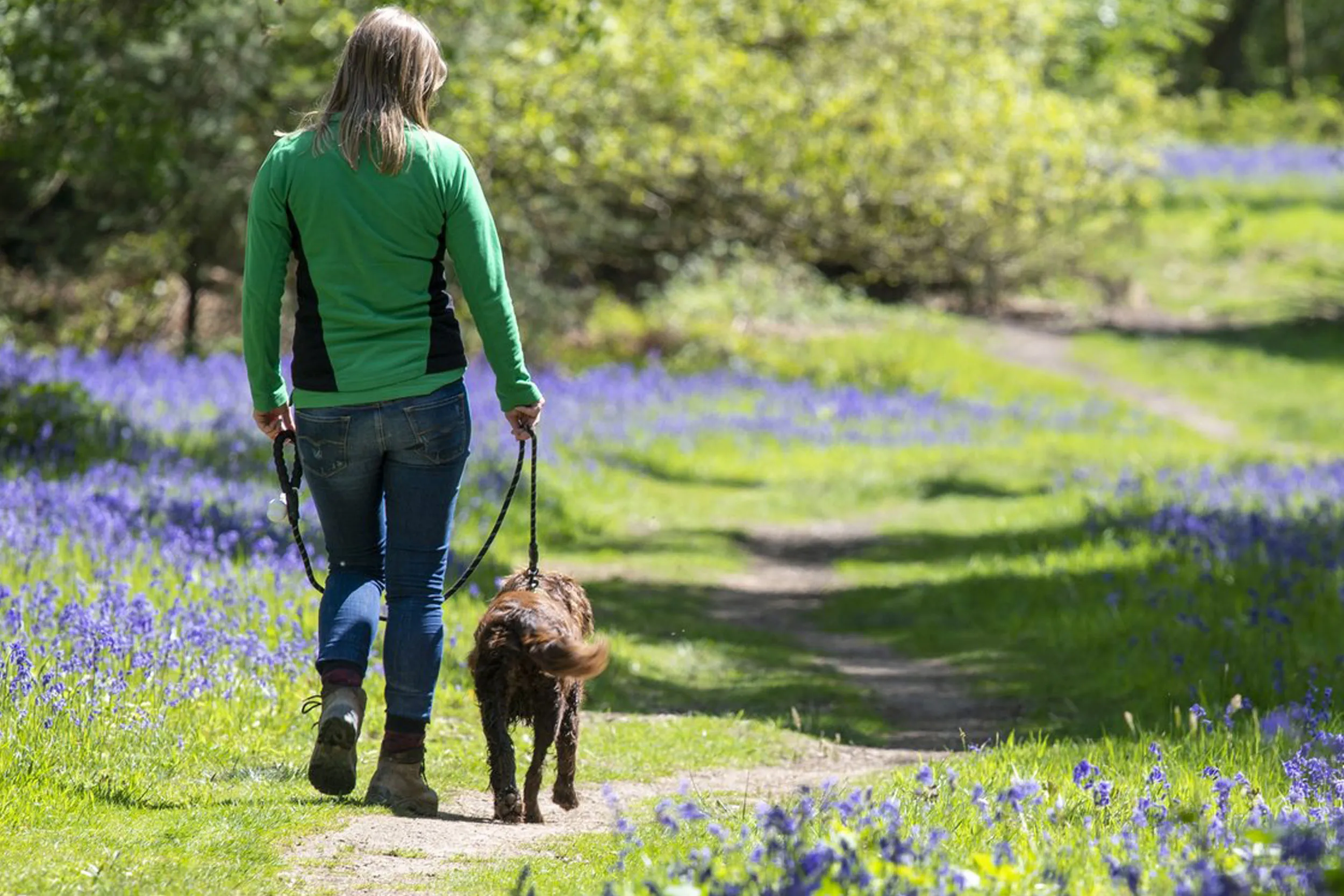 Woman walking her dog in the Forest